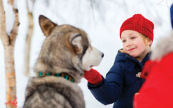 air femme alaska perro