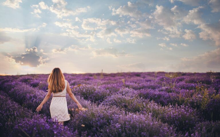 Los mejores lugares para ver campos de flores