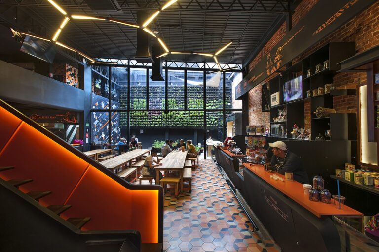 Mercados gourmet en la CDMX