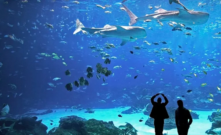 Nuevo acuario en León, Guanajuato