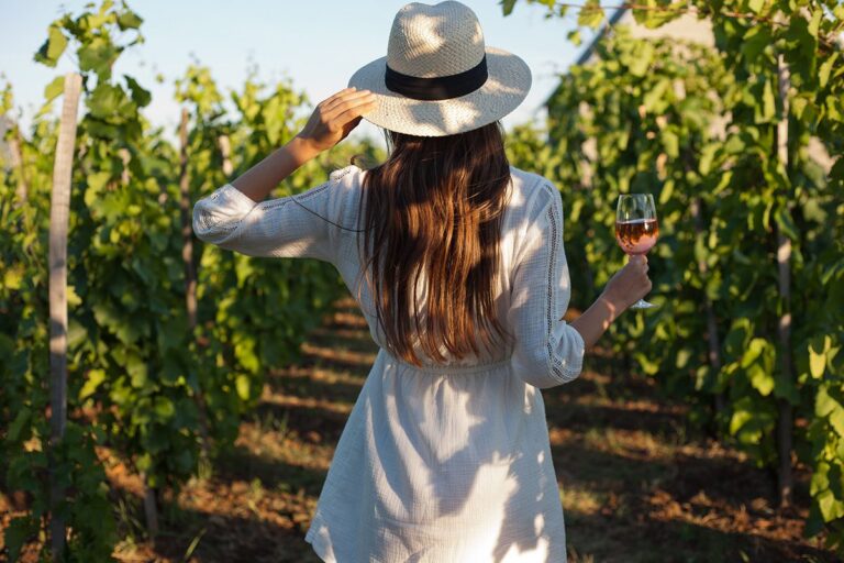 VENDIMIA 2018 ¡La fiesta del vino!