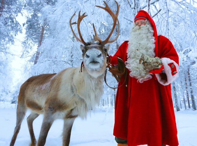 Un mágico destino navideño