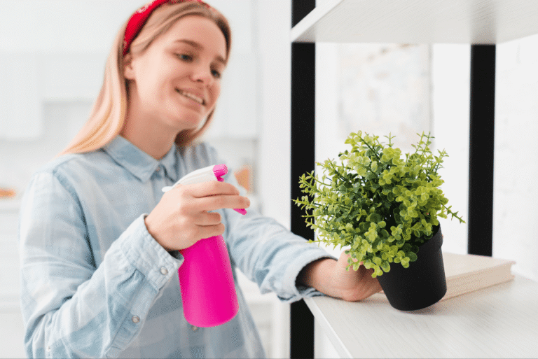 Tener plantas en casa te ayudan a sentirte mejor