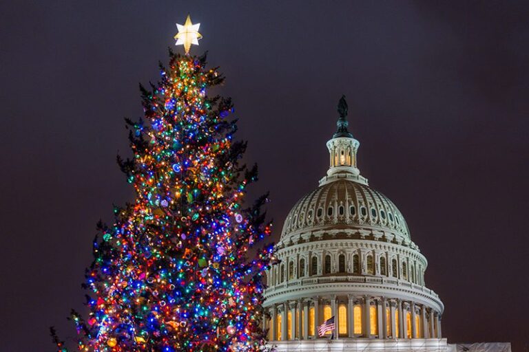 Descubre los 10 imperdibles de Washington, DC en invierno