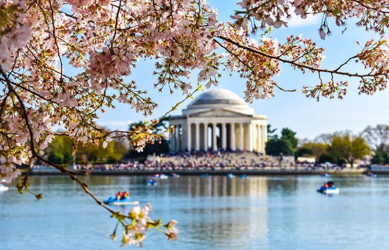 Sumérgete en la historia y la maravilla: Un viaje por los museos y monumentos de Washington, DC