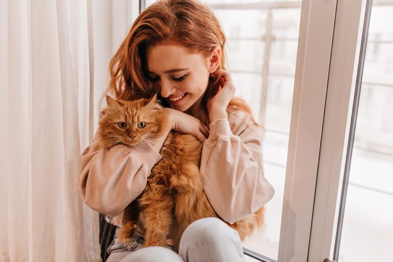 ¡Los gatos no tienen 7 vidas! ¿tienes uno? Esto te interesa