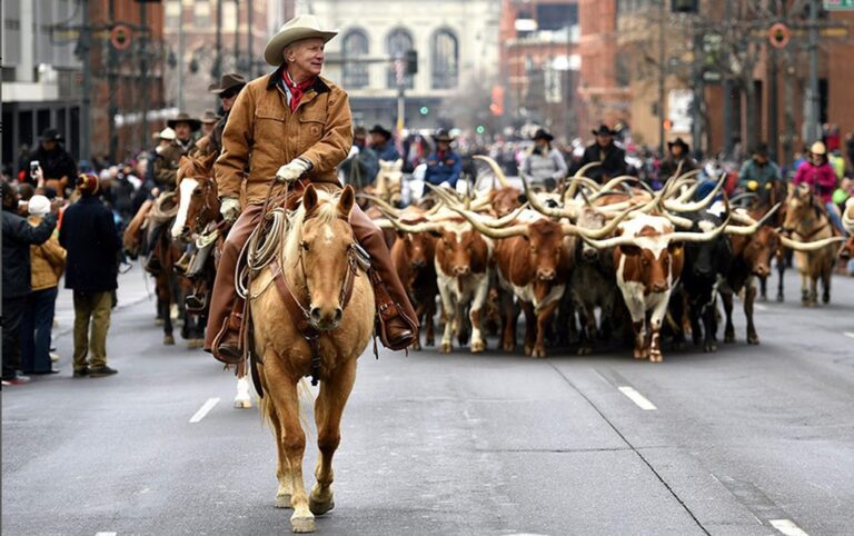 5 imperdibles del Rodeo de Denver