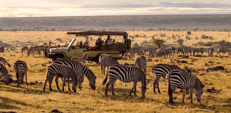 Bajo el Cielo Africano: Una Aventura de Safari