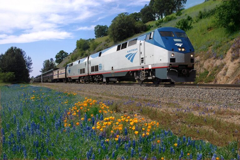Vías que Florecen: Cinco viajes en tren para explorar Estados Unidos