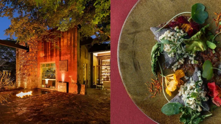 Guía Michelin México 2026: los siete nuevos restaurantes que elevan la escena gastronómica nacional