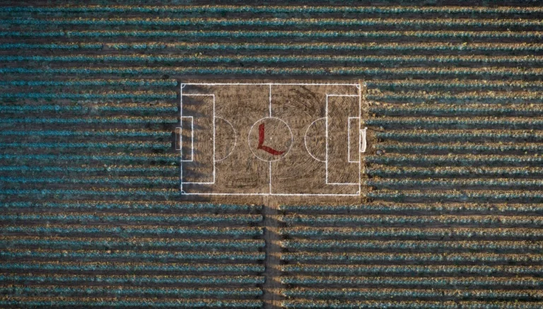 Canchas, la exposición de Santiago Arau y Loco Tequila que transforma el paisaje mexicano en arte
